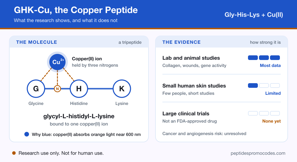 Infographic of the GHK-Cu copper peptide showing glycine, histidine and lysine bound to a blue copper ion, beside an evidence panel rating lab studies, small human skin studies and the lack of large clinical trials