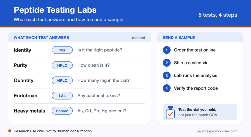 Infographic titled Peptide Testing Labs with a table of what each test answers, from identity by mass spec and purity by HPLC to quantity, endotoxin by LAL and heavy metals, and four steps to send a sample